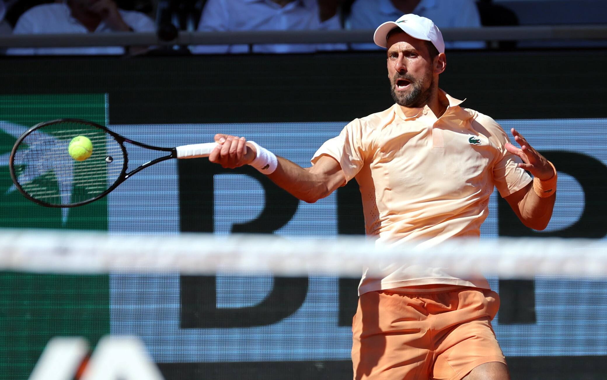 Djokovic-Fonseca al Roland Garros, il risultato in diretta live della partita