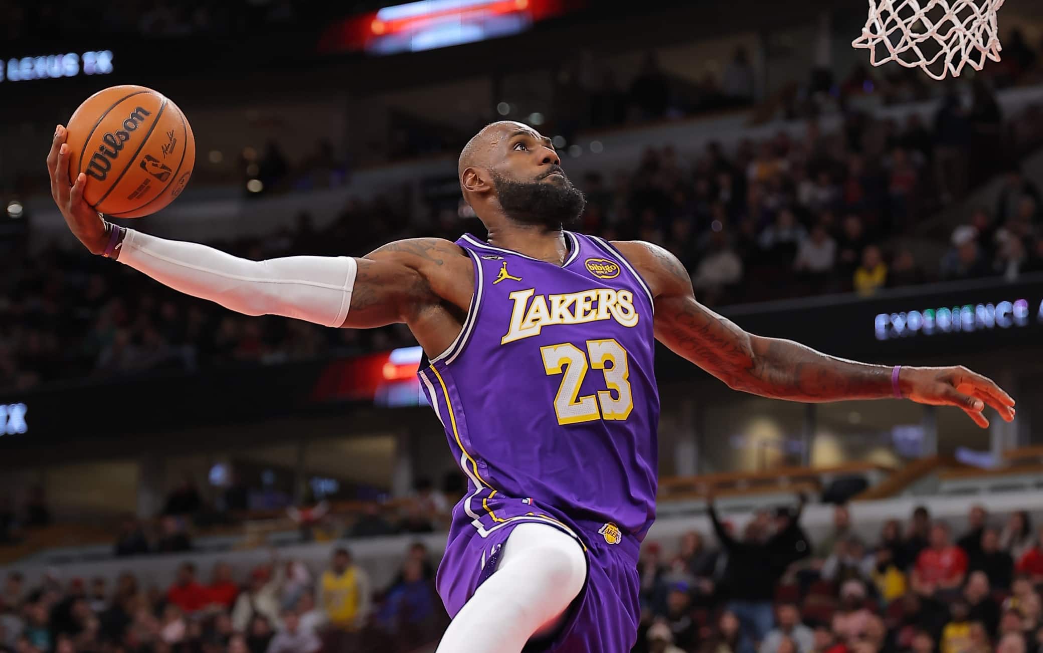 NBA, risultati della notte: i Lakers passano a Chicago, rivincita T'Wolves su Golden State