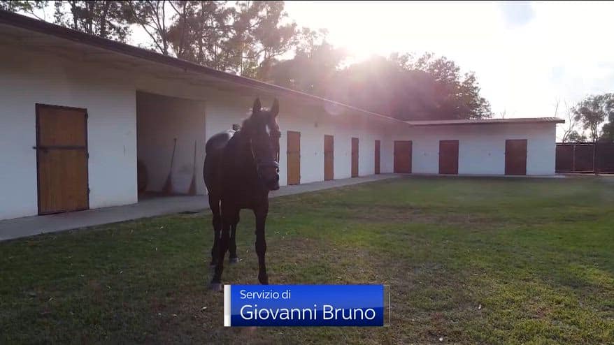 Varenne, morto il più forte trottatore della storia
