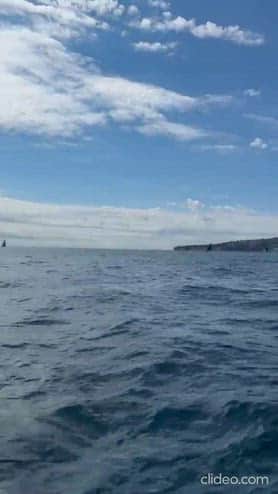 America's Cup, il campo di regata vicino l'Amerigo Vespucci
