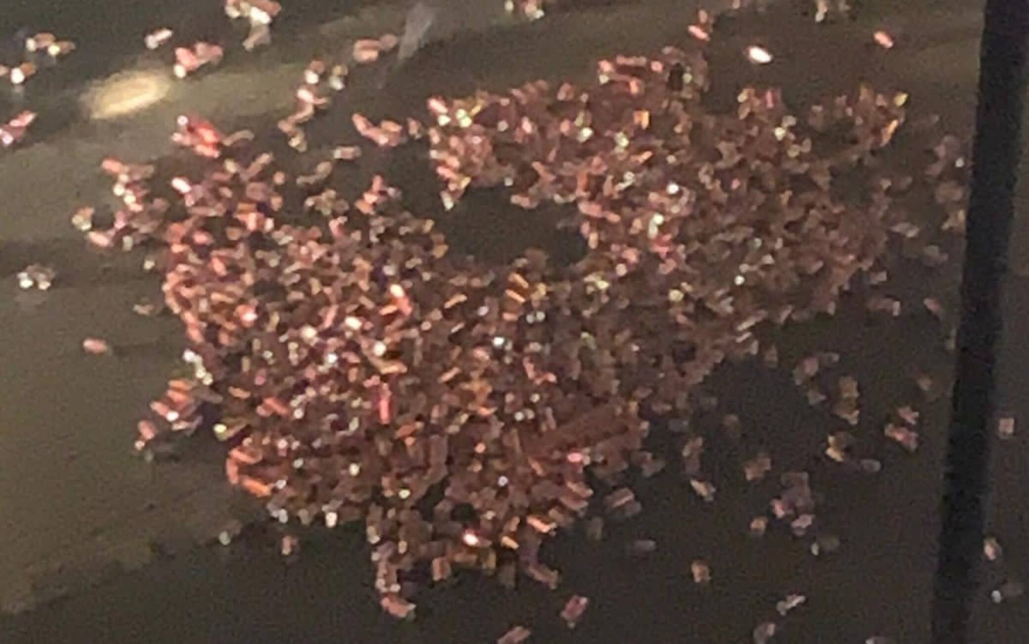 Le lattine lanciate dagli ultras del Borussia sotto l'albergo dell'Inter