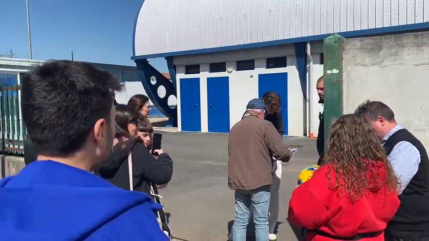 Como, Nico Paz è appena rientrato