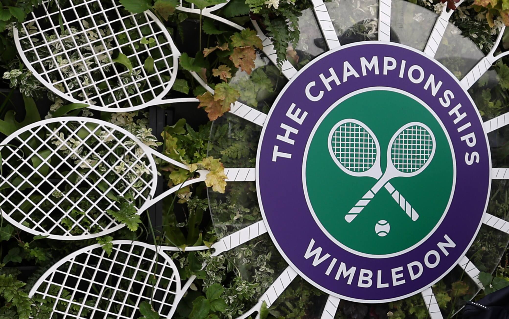 Wimbledon, tutto quello che c'è da sapere sul torneo del Grande Slam