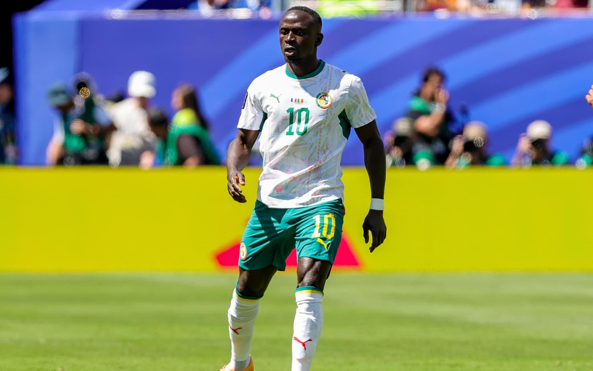 mane senegal