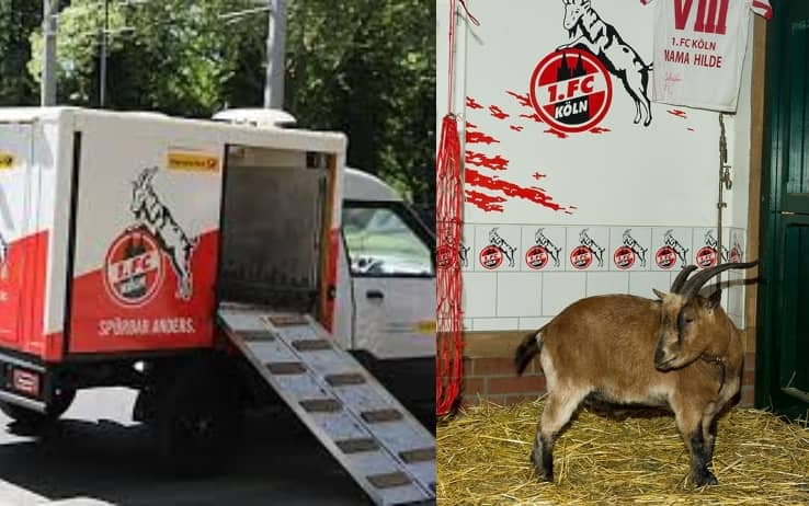 Il furgone personalizzato e la casetta della capretta Hennes IX
