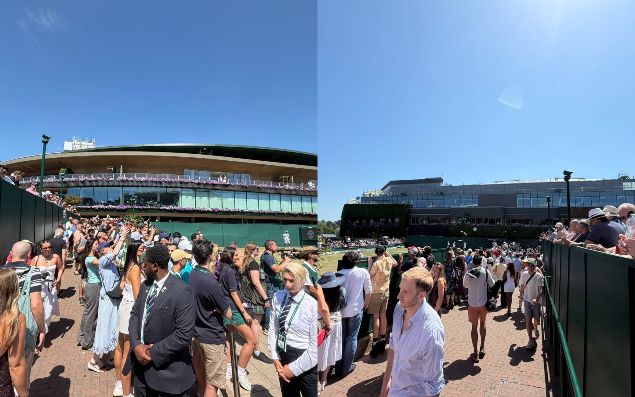 tifosi wimbledon