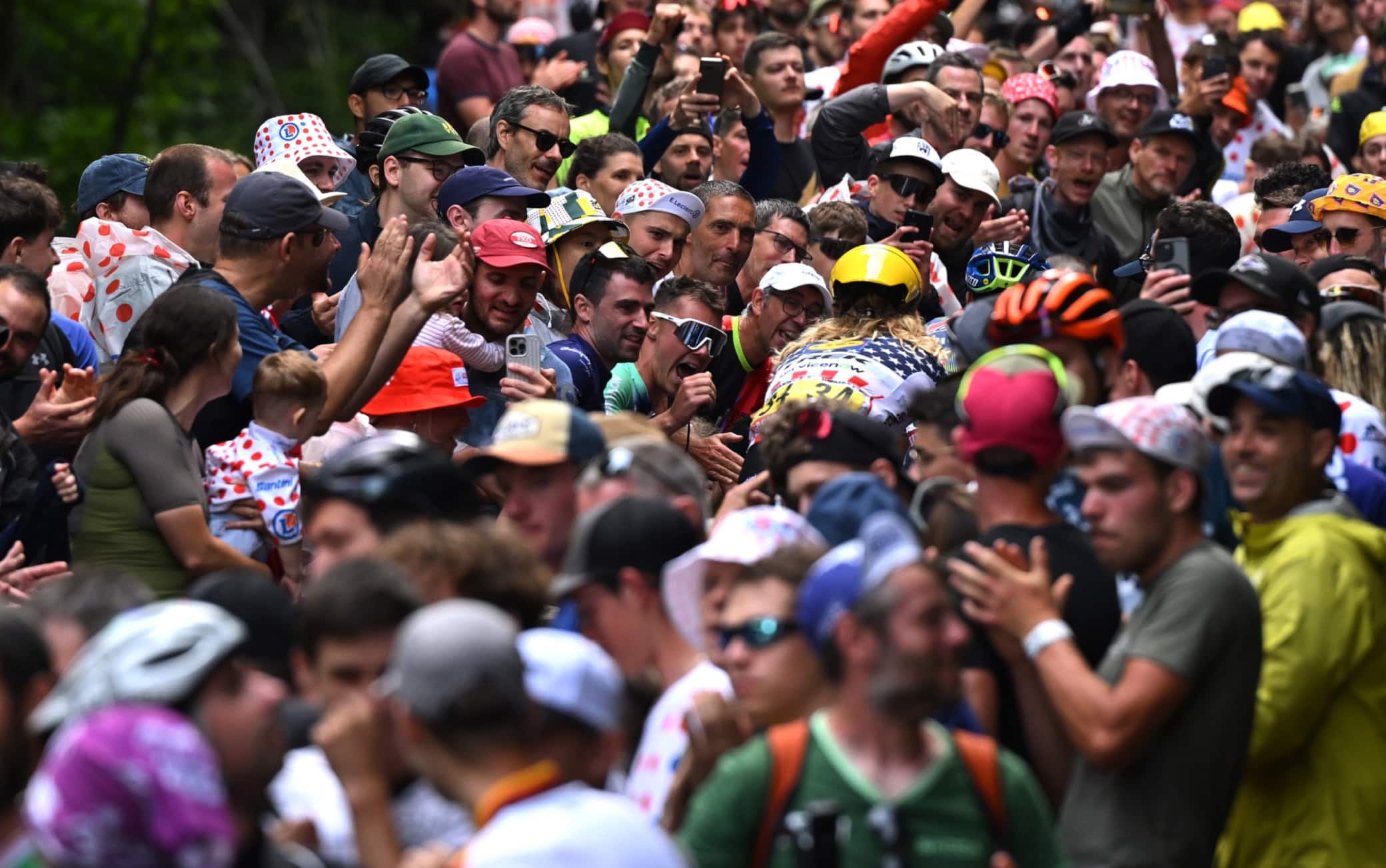 Pubblico