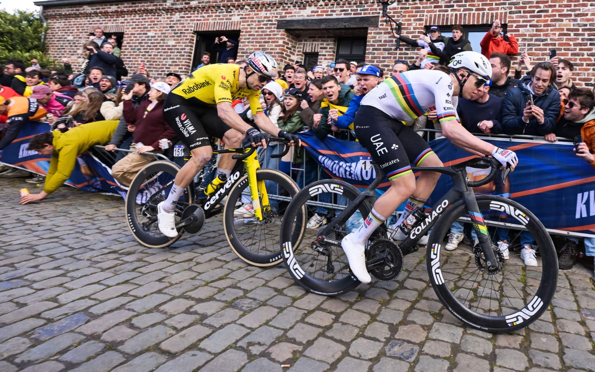 Pogacar van Aert