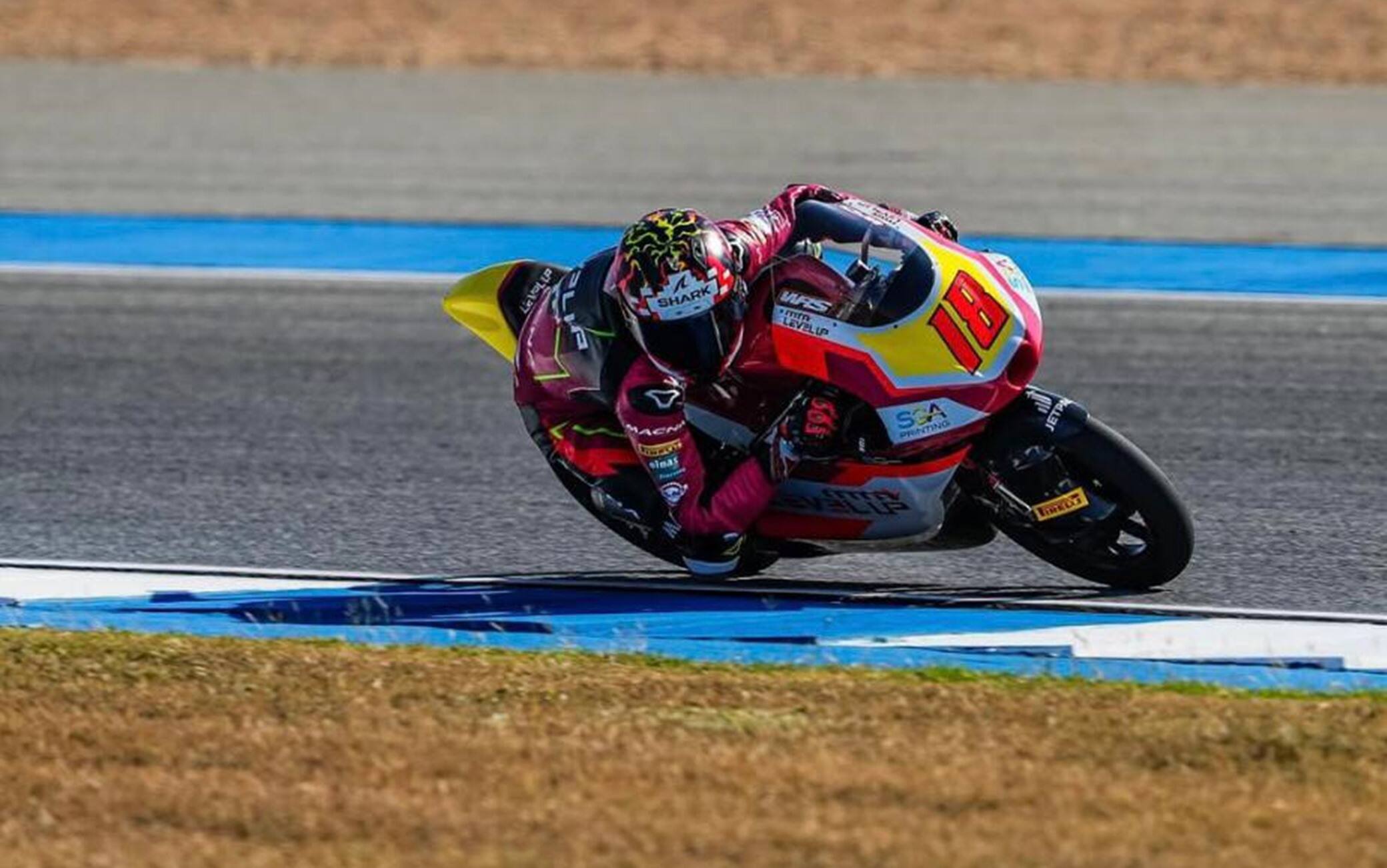 Moto3, GP Spagna (Jerez): Bertelle 4° nelle pre-qualifiche, Pini fuori dal Q2