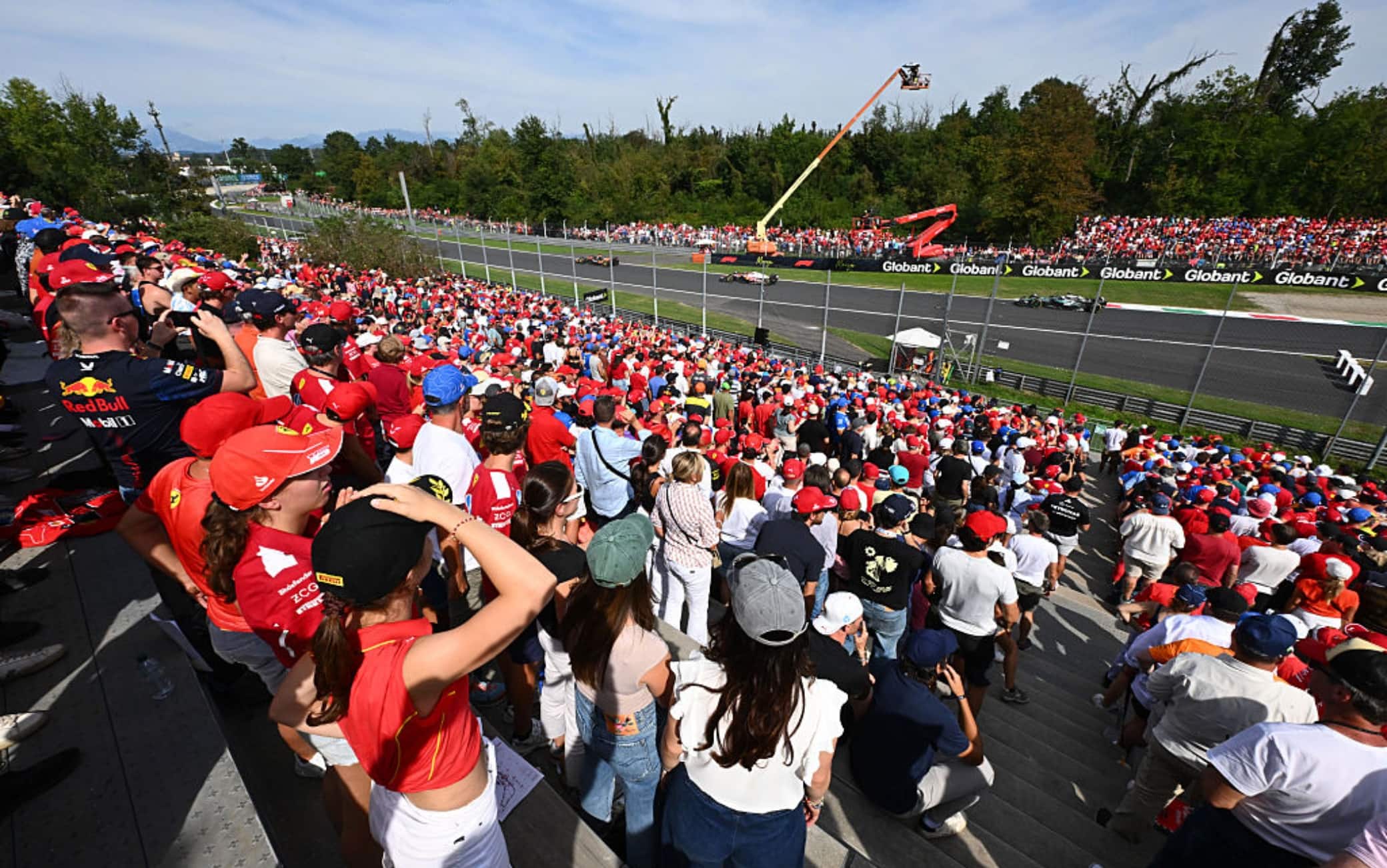 F1