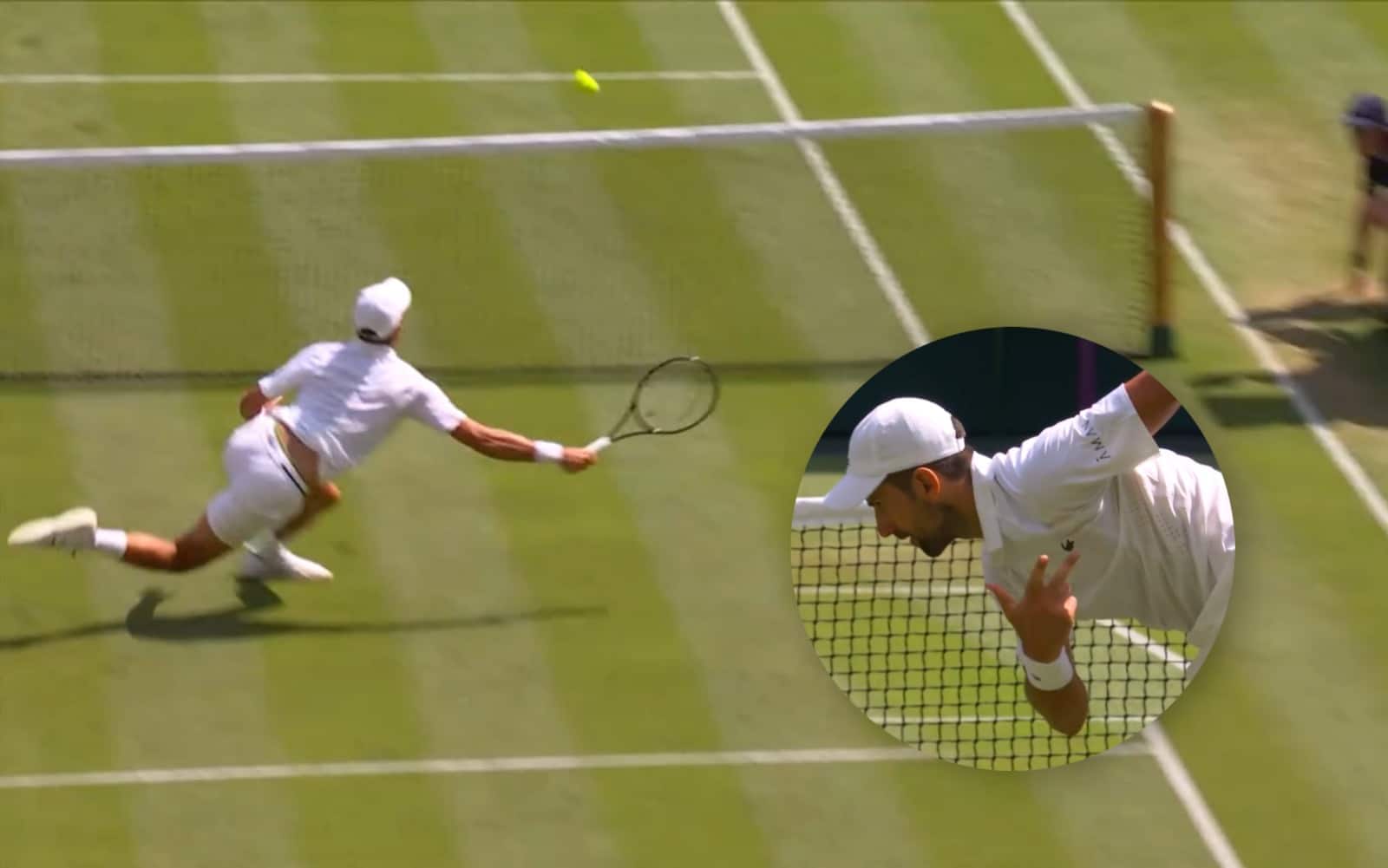 Wimbledon, Djokovic regala spettacolo: punto in tuffo e inchino