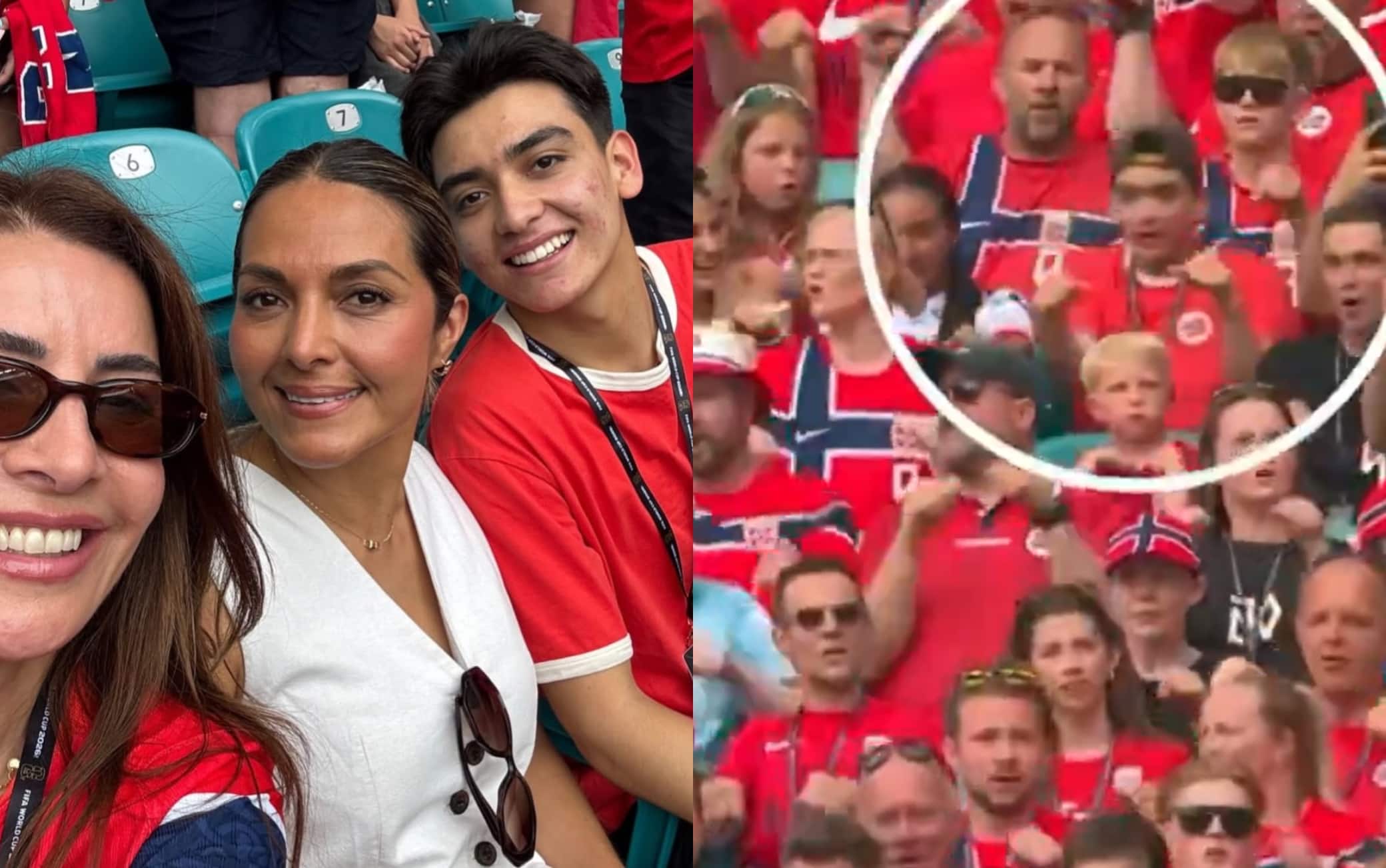 mora norvegia