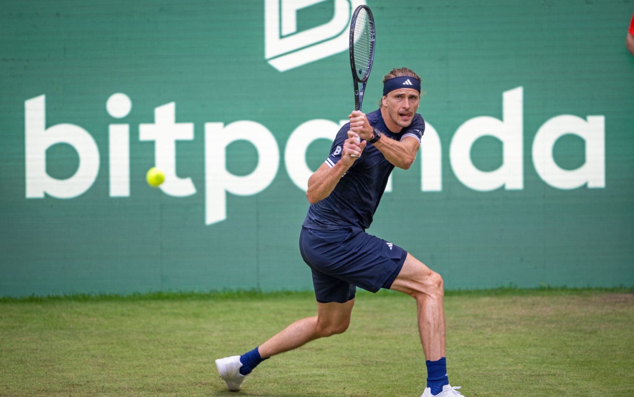 Atp Halle, i risultati di oggi: avanza Zverev, out Fonseca