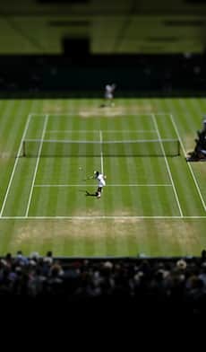 L'erba di Wimbledon è un po' meno verde