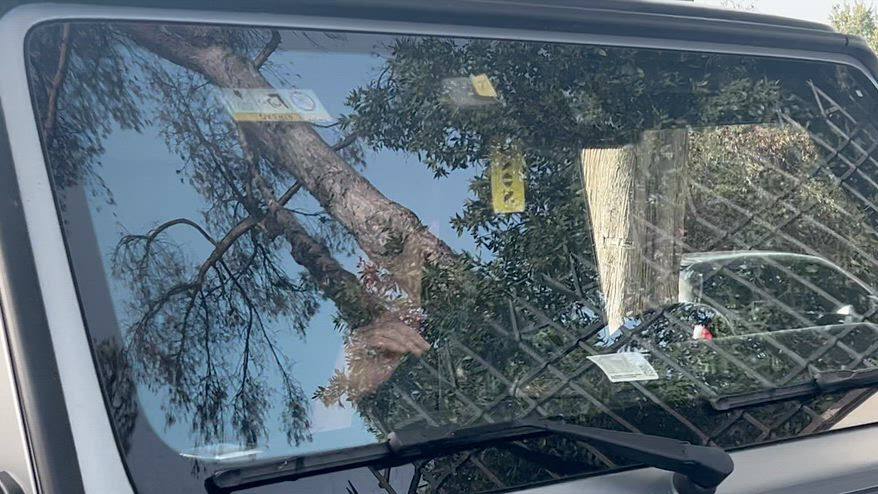 Lazio, Pinamonti è arrivato a Formello: il video
