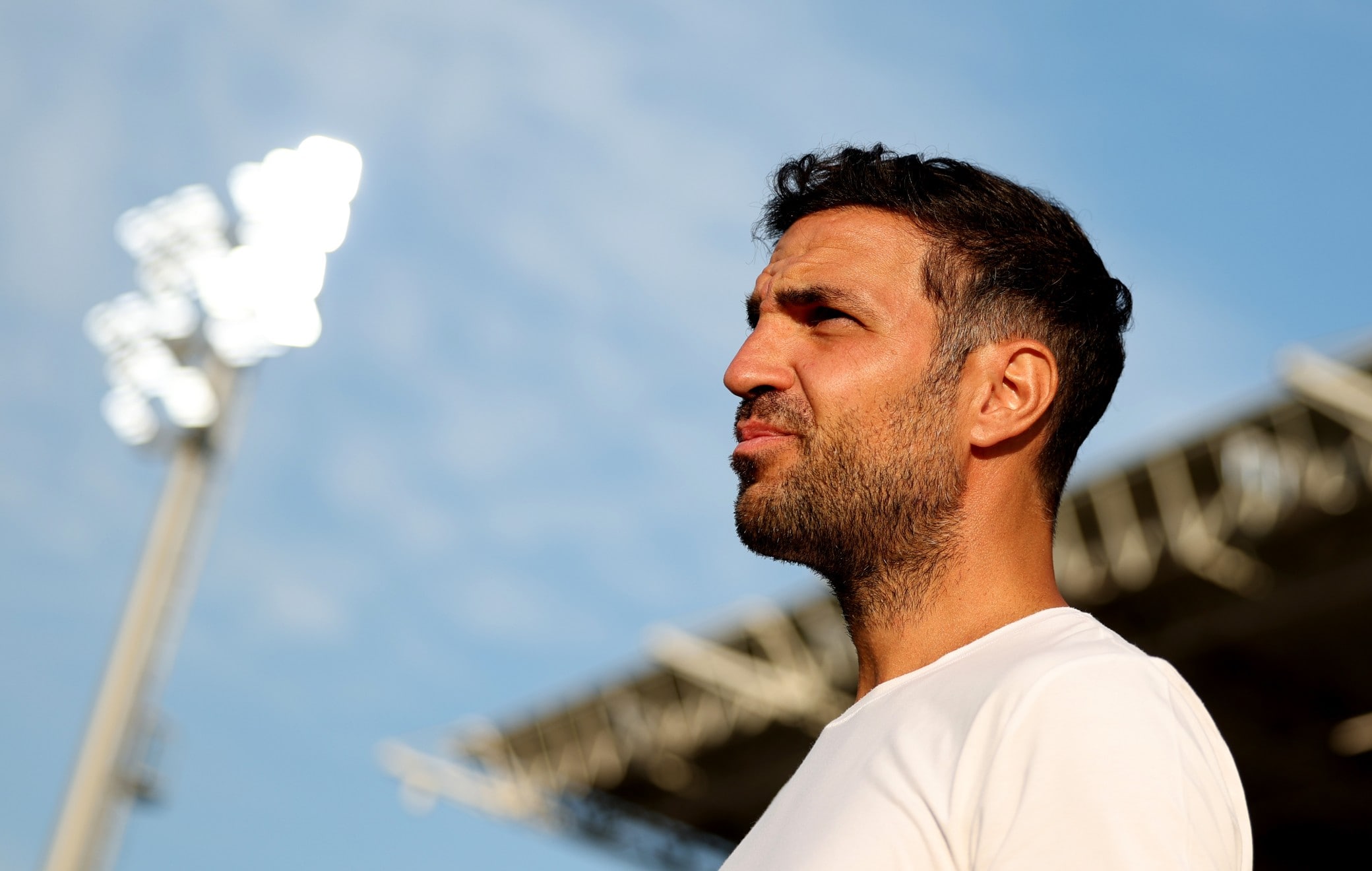fabregas