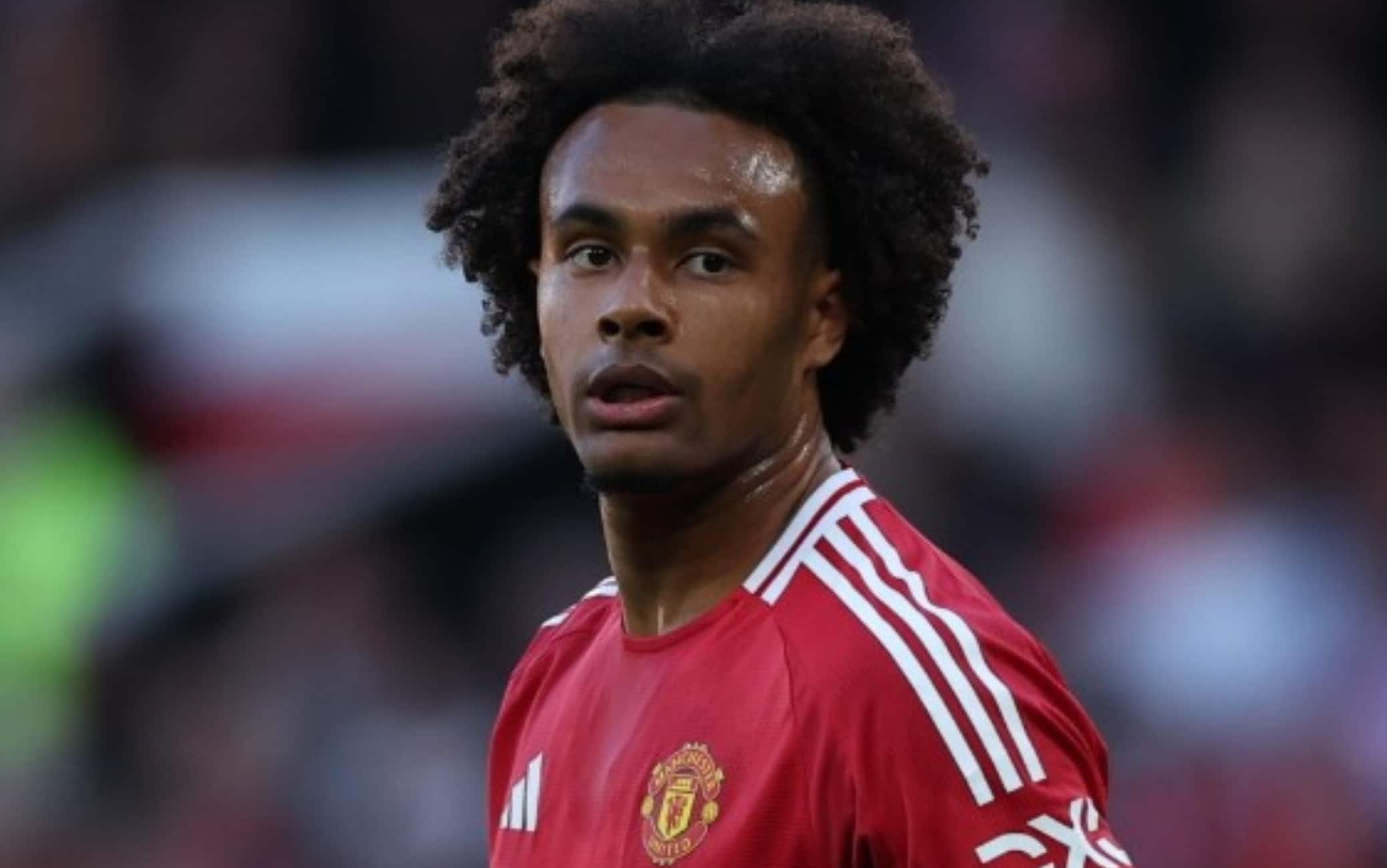 Fiorentina, prima offerta per Zirkzee al Manchester United: i dettagli