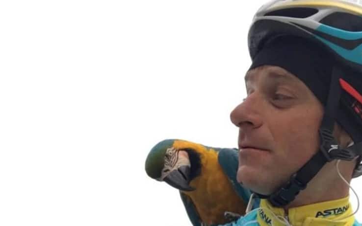 Morto il pappagallo Franky, accompagnava Michele Scarponi agli allenamenti