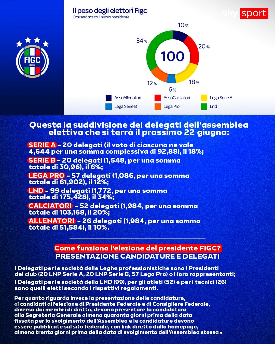 Come funzionano le elezioni Figc