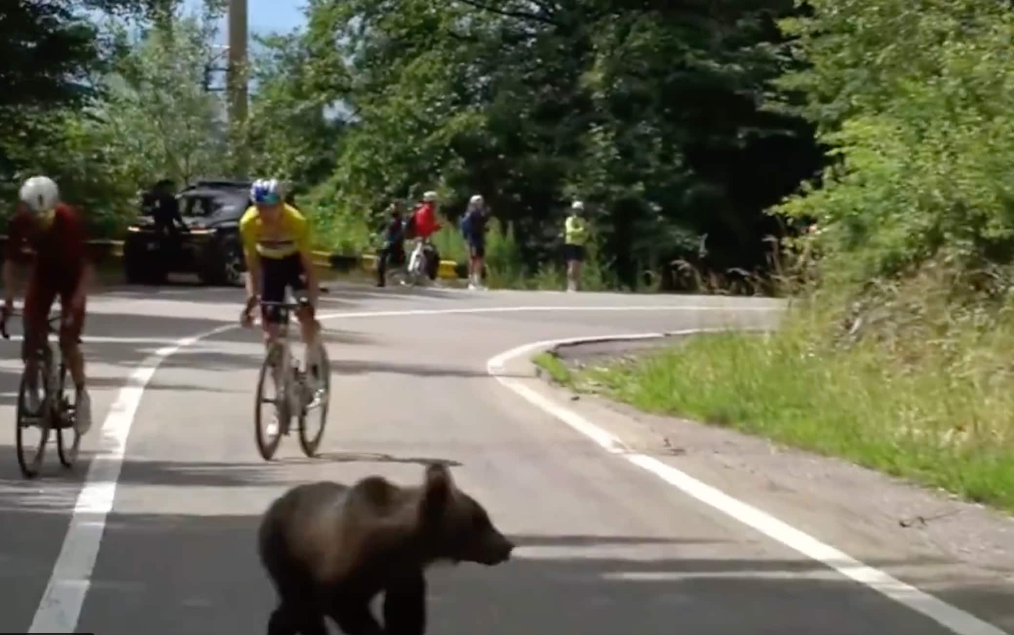 Sibiu Tour: Lorenzo Finn vince la tappa ed evita un orso per strada! 