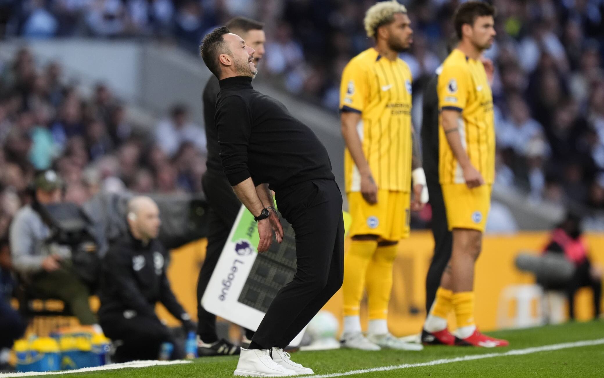 Tottenham-Brighton: video, gol e highlights