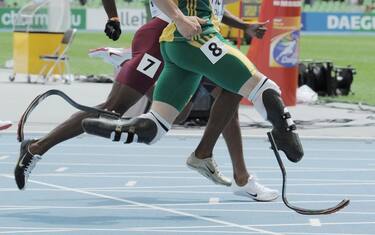 oscar_pistorius_daegu