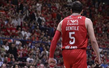 00_gentile_ciamillo