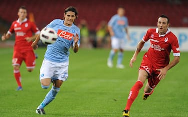 sport_calcio_italiano_napoli_bari_cavani_ansa