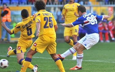 samp_fiorentina_cassano_ansa