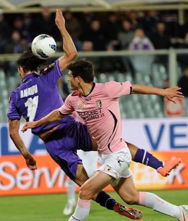 amauri_gol_mano_palermo_ansa