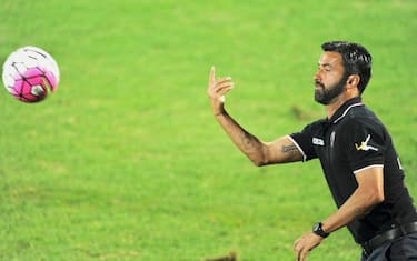 panucci