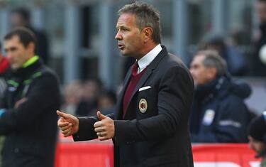 mihajlovic
