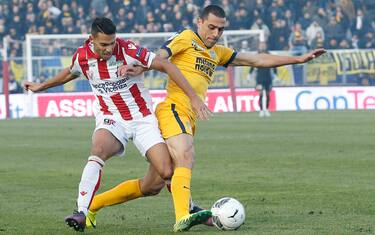Foto LaPresse/Pennacchio Emanuele
10/12/2016 Vicenza (Italia) 
Sport Calcio 
Vicenza Calcio vs Hellas Verona - Campionato di calcio Serie A ConTe.it 2016/2017 - Stadio "Romeo Menti" 
Nella foto: 2  Rômulo Orestes Rômulo, 7 Alessio Vita 

Photo LaPresse/Pennacchio Emanuele
December 10, 2016 Vicenza (Italy) 
Sport Soccer 
Vicenza Calcio vs Hellas Verona - Italian Football Championship LeagueB ConTe.it 2016/2017 - "Romeo Menti" Stadium 
In the pic: 2  Rômulo Orestes Rômulo, 7 Alessio Vita