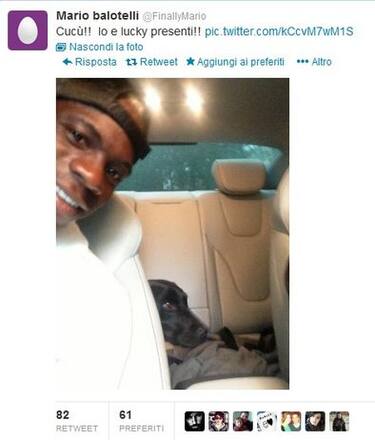 balo_twitter