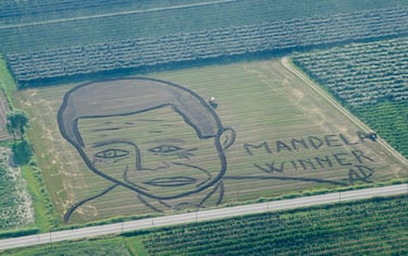 mandela_castagnaro_ap