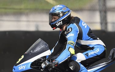 bulega