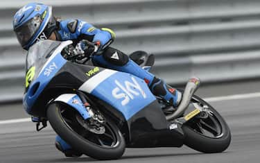 qp_nicolobulega
