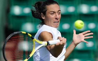 schiavone