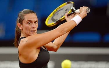 vinci