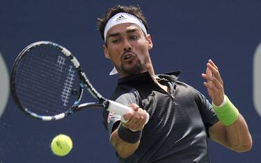 fognini_ansa