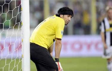 buffon_palo