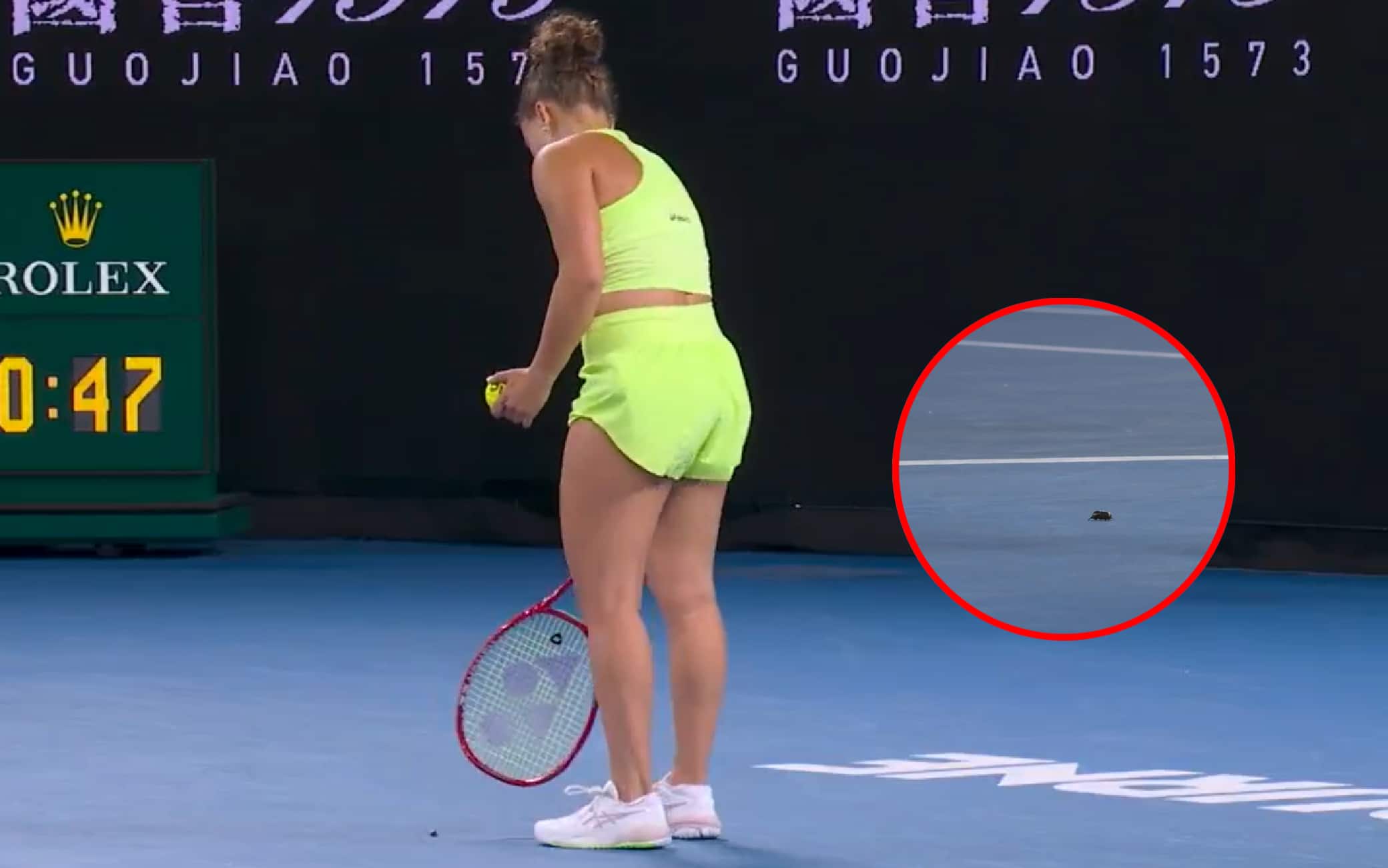 Paolini, problemi con un insetto durante il servizio agli Australian Open. VIDEO
