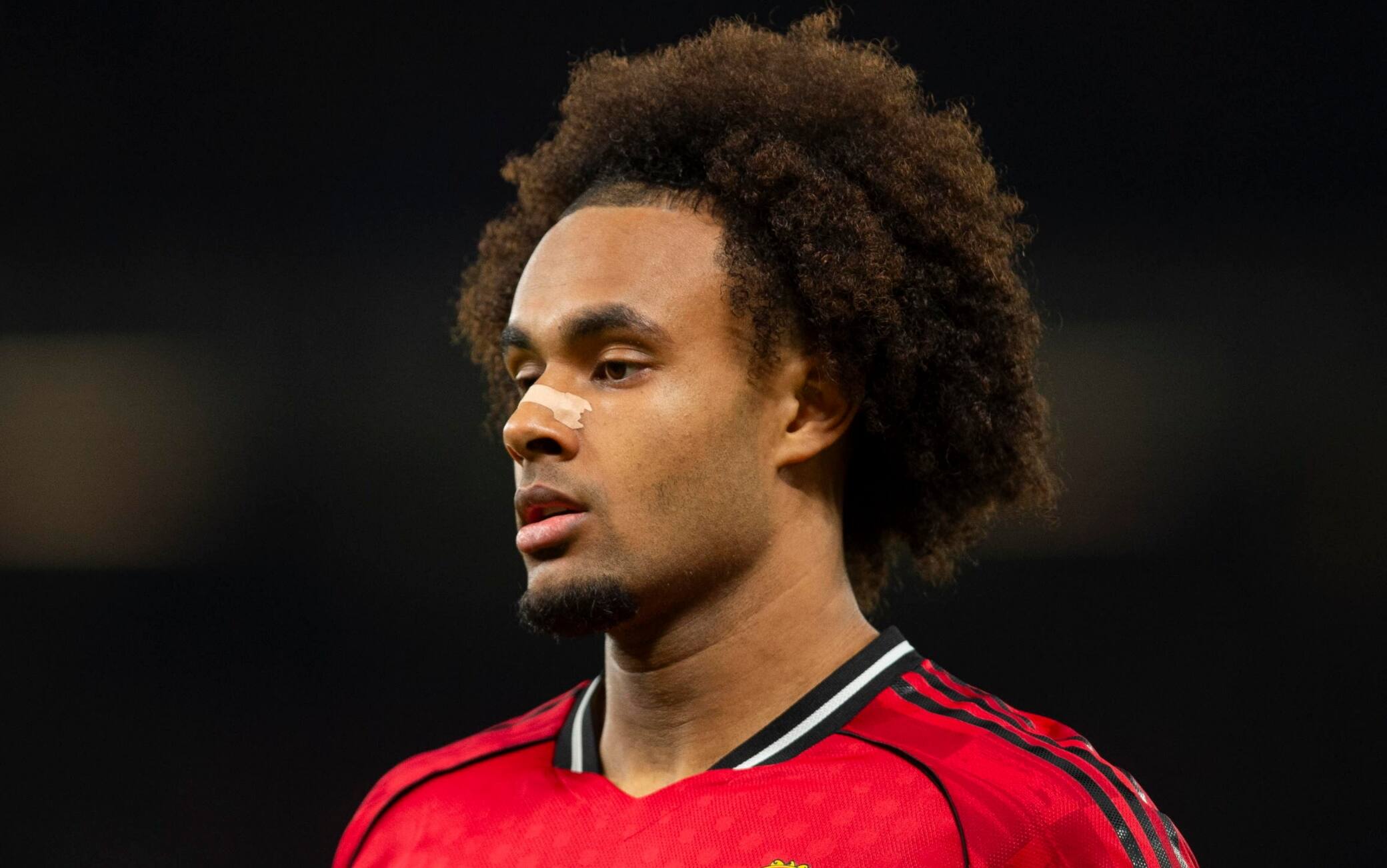 Juve, in lista per l'attacco anche Zirkzee ed En-Nesyri: le news di calciomercato