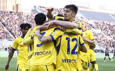 Bologna-Verona, la partita LIVE