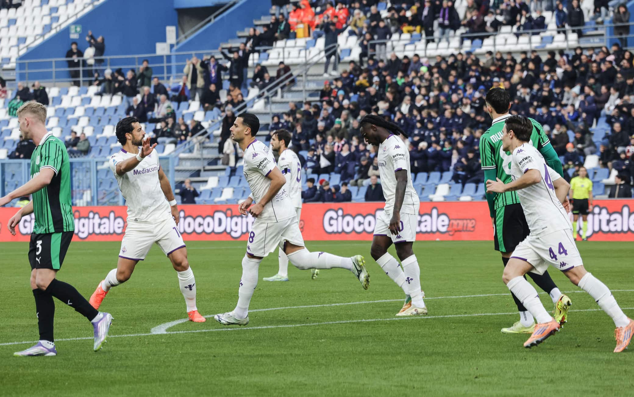 Mandragora esultanza