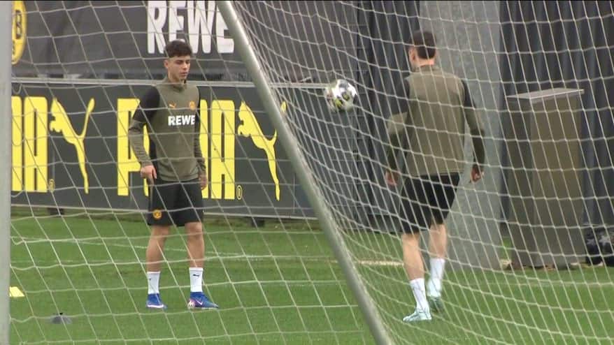 Due italiani a Dortmund: le storie di Reggiani e Inacio