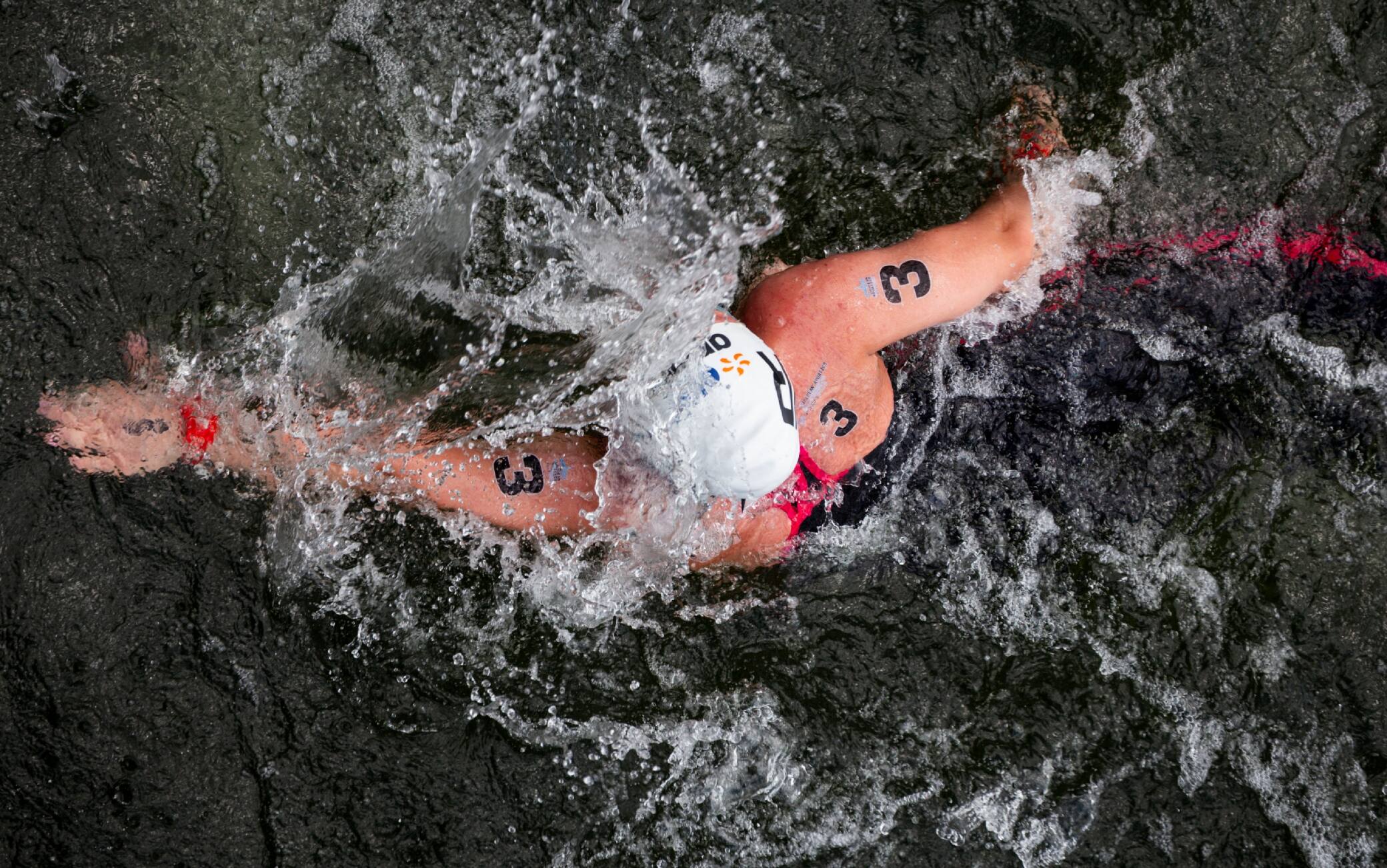 Europei 2026, nuoto in acque libere e tuffi: calendario e gare in programma oggi