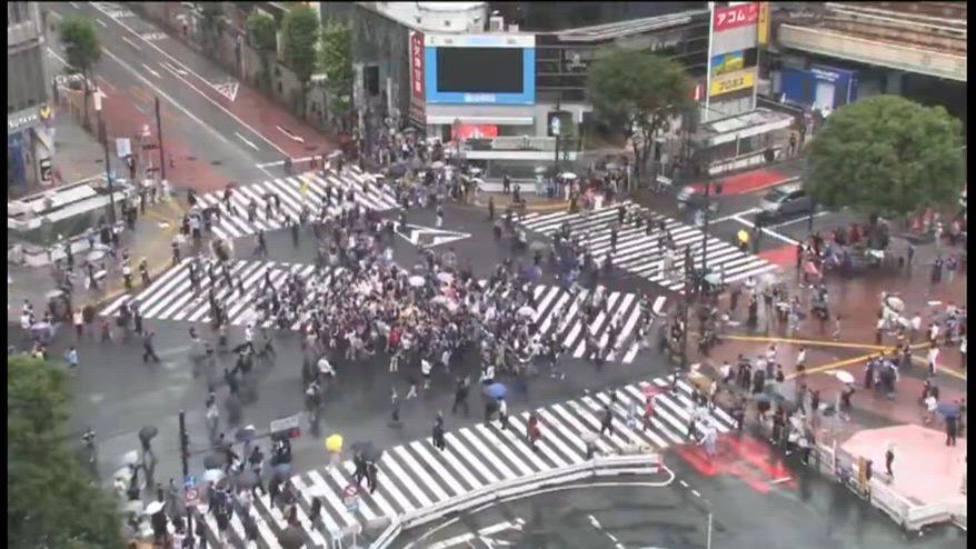 Giappone, i tifosi esultano all'incrocio di Shibuya. VIDEO