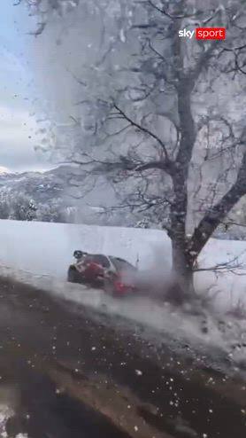 Pajari contro un albero al Rally di Monte-Carlo