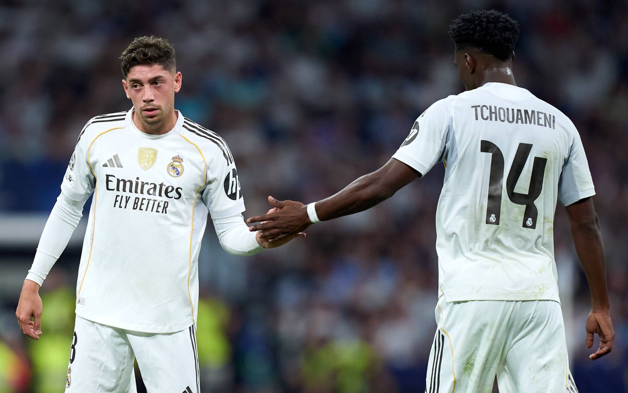 Real Madrid, il comunicato dopo la rissa tra Valverde e Tchouameni: multa da mezzo milione